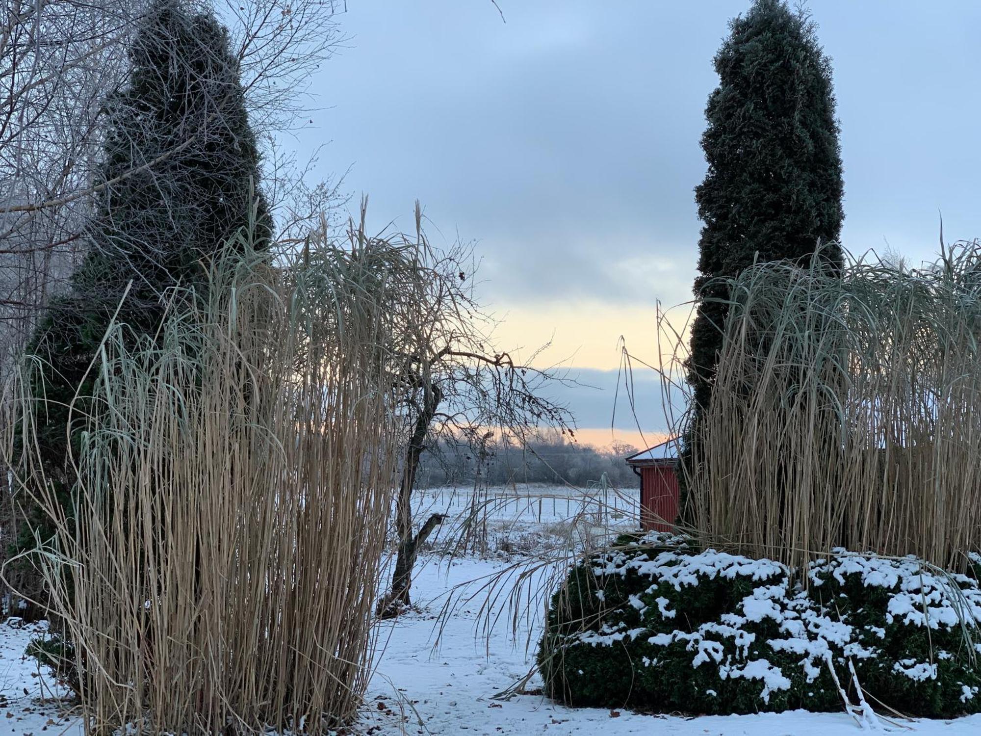 Villa Maria Garden Cottages, Helsingborg Buitenkant foto