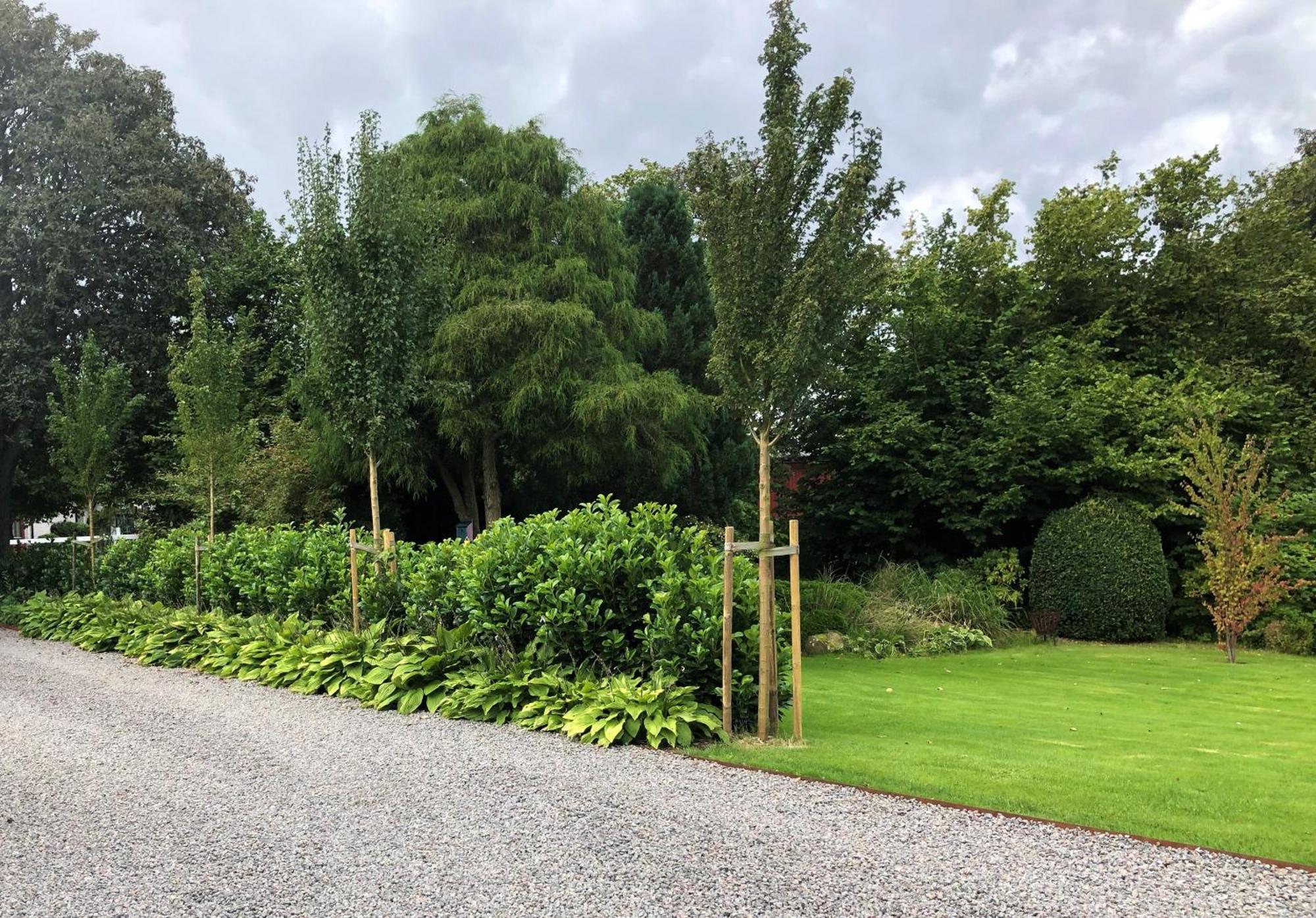 Villa Maria Garden Cottages, Helsingborg Buitenkant foto