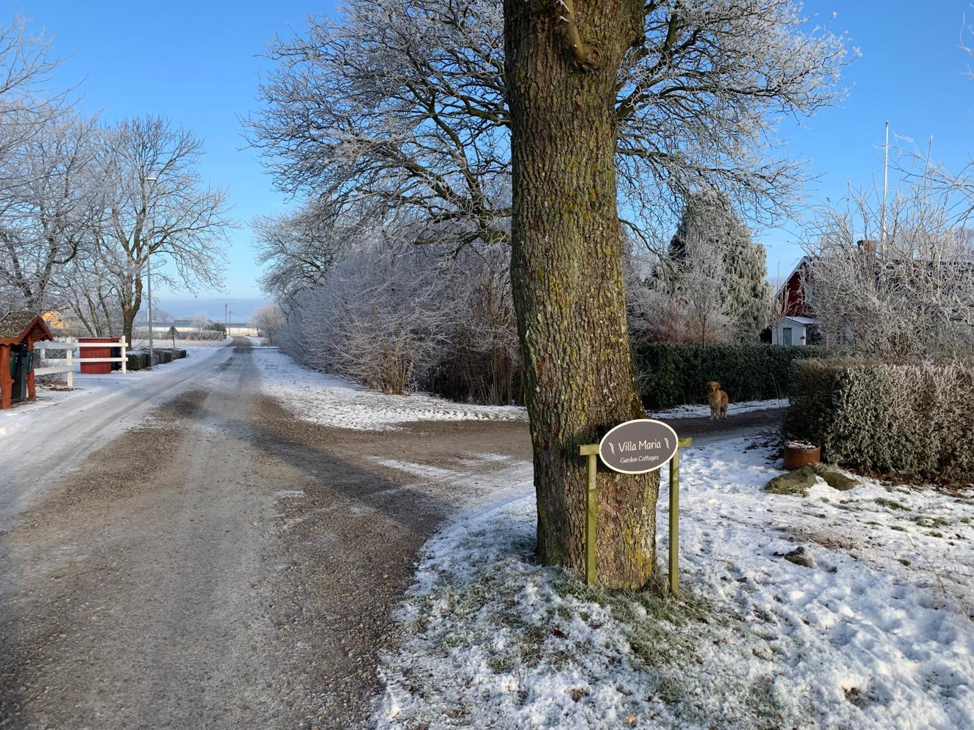 Villa Maria Garden Cottages, Helsingborg Buitenkant foto